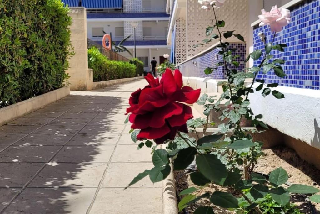 Apartamento Playa Piles -Familias- Εξωτερικό φωτογραφία